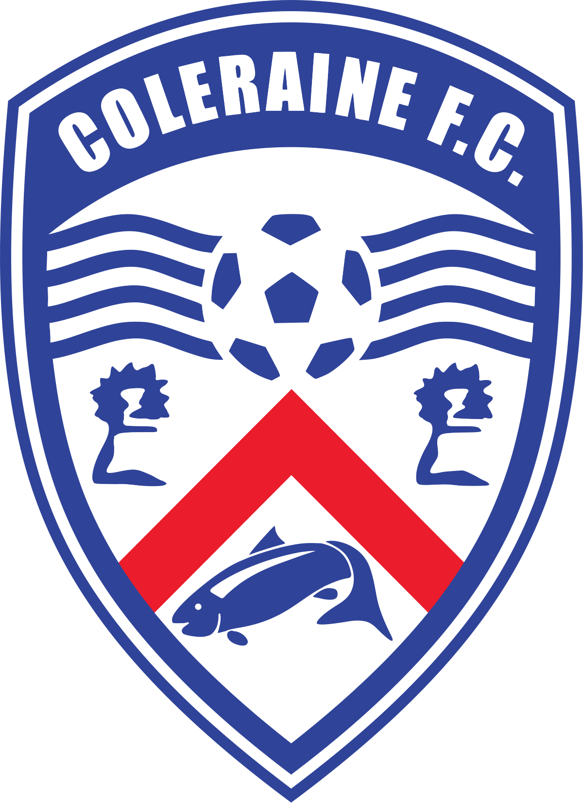 ColeraineU20